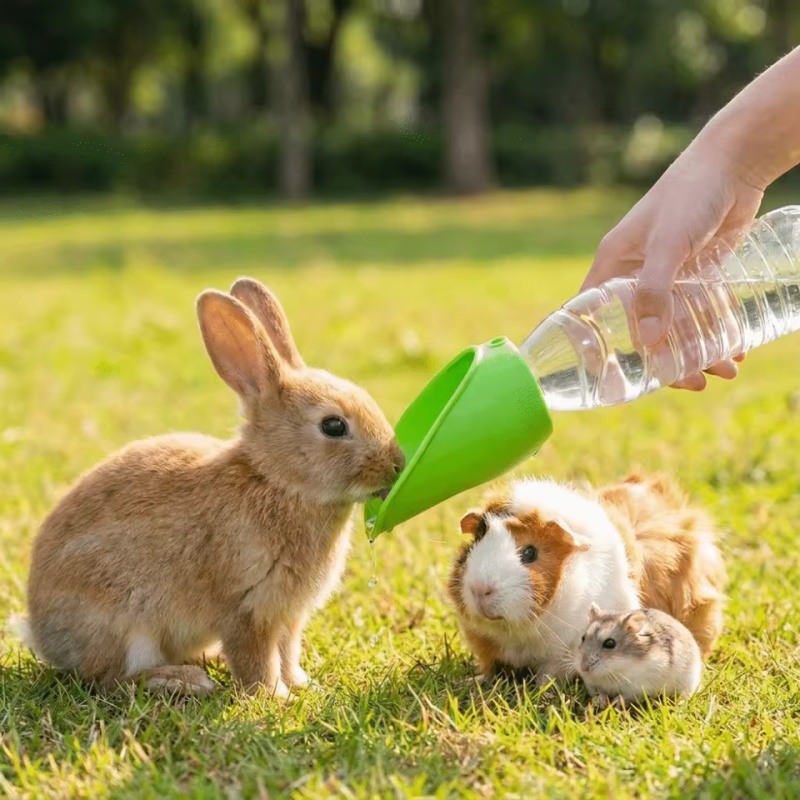 Dog cat Travel Water Bottle  P - огляд і ціна Collapsible Water Bottle